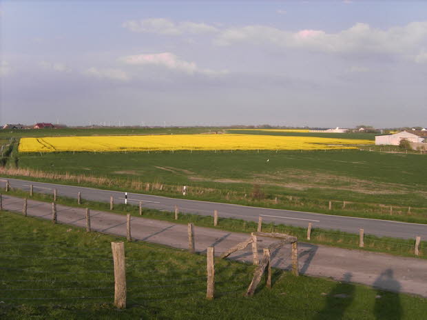 Landschaft_04