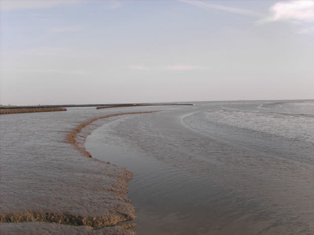 Landschaft_09