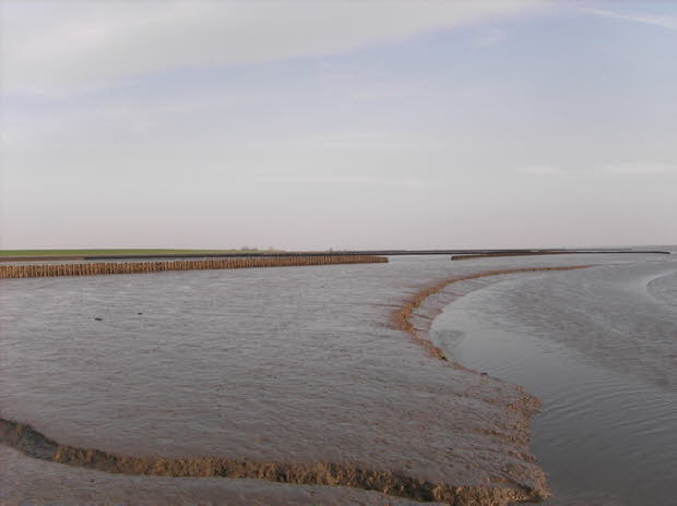 Landschaft_10
