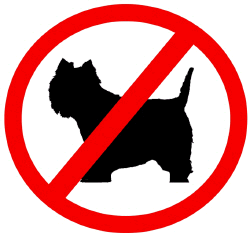 Keine Hunde